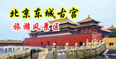 女生笔戳菊花小穴黄色视频中国北京-东城古宫旅游风景区